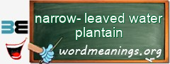 WordMeaning blackboard for narrow-leaved water plantain